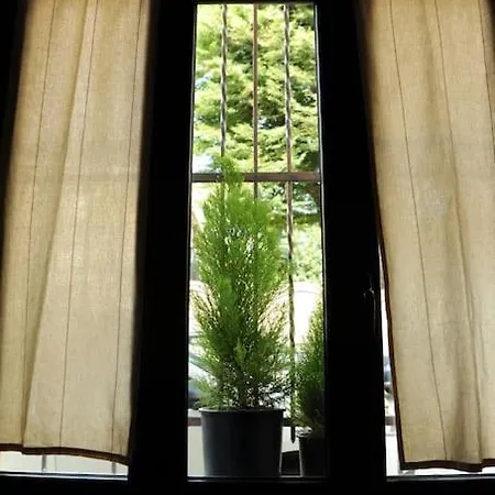 דירה Un Rifugio Bohemien טורינו